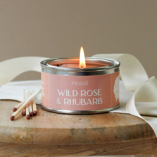 Wild Rose & Rhubarb Paint Pot - Candle